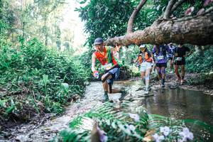 BIB: 
                            <button type="button" onclick="openModal(25446626)" class="btn btn-primary btn-sm float-right btn-popup" data-toggle="modal" data-target=".modal-high-quality">
                        <i class="fas fa-shopping-cart"></i> Add to Cart
                    </button>
                                            <button type="button" onclick="isThisMe(25446626, true)" class="btn btn-success btn-sm float-right btn-popup btn-isme hidden" data-toggle="tooltip" data-placement="bottom" title="นี่คือรูปของคุณใช่ไหม คลิกที่นี่เพื่อเอาเข้าอัลบั้ม">
                        <i class="fas fa-plus"></i> Add to album
                    </button>
                    <button type="button" onclick="isThisMe(25446626, false)" class="btn btn-warning btn-sm float-right btn-popup btn-isnotme hidden">
                        <i class="fas fa-ban"></i> Remove from album
                    </button>